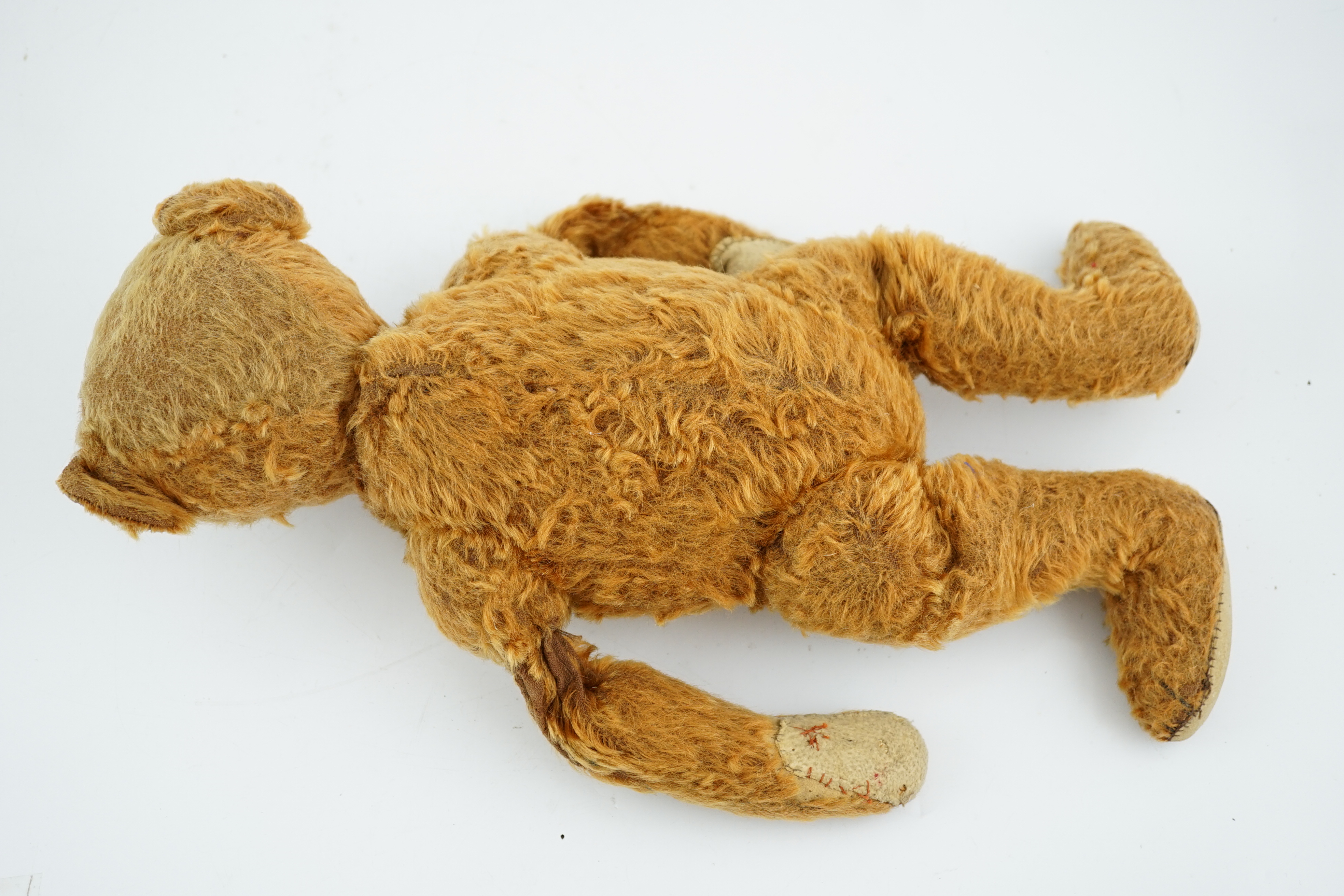 A cinnamon Steiff bear c.1908, with button paw pads, stuffing missing in arms, hair loss to head, muzzle repaired, general hair loss, 41cm